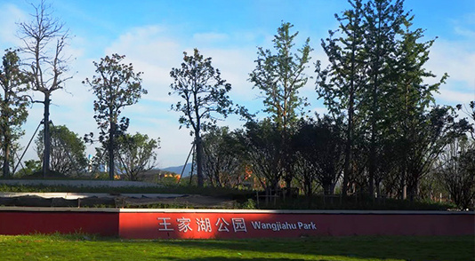 浙江诸暨 · 王家湖公园 浙江诸暨 · 王家湖公园